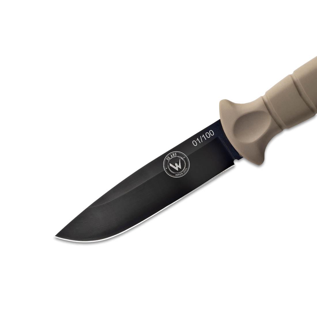 1. MT55 lame PVD coyote 2.png